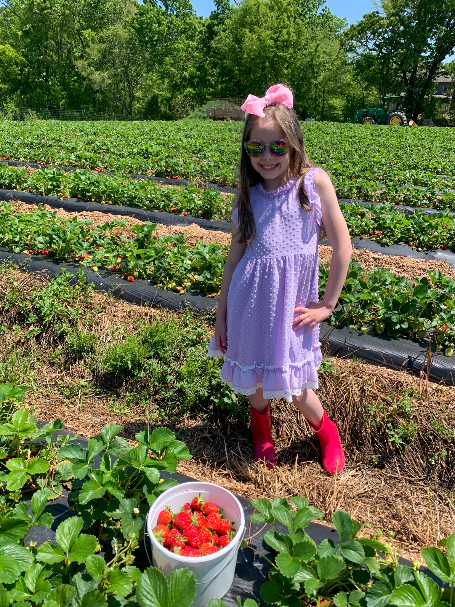 Saline County Arkansas blogger, Harper, stands beside bucket of Arkansas strawberries at Salt Box Farm